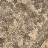 Sto-Fossil SKL (NSF004)
