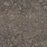 Sto-Fossil SBL (NSF005)